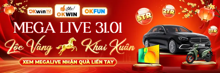 banner okfun